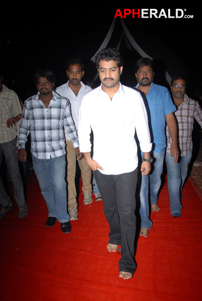 NTR 17th Vardhanthi
