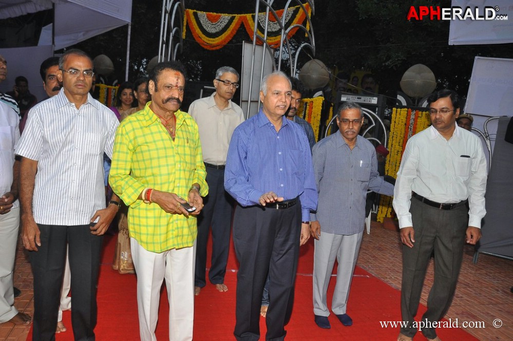 NTR Family Members at NTR Ghat