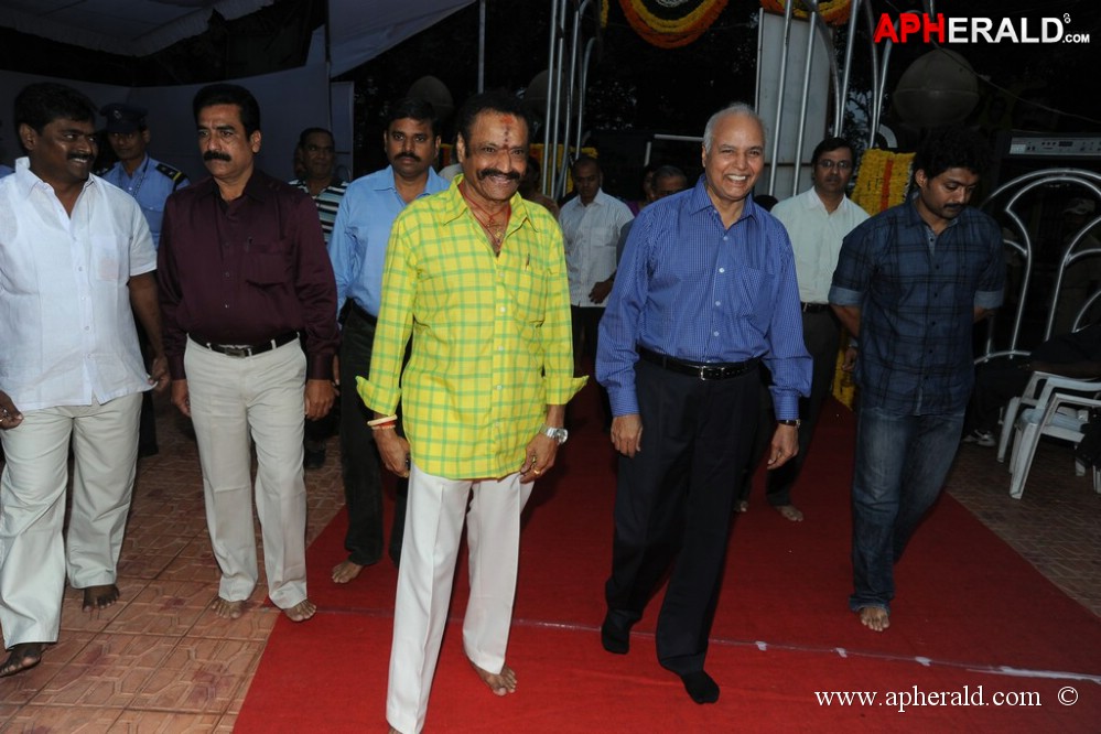 NTR Family Members at NTR Ghat
