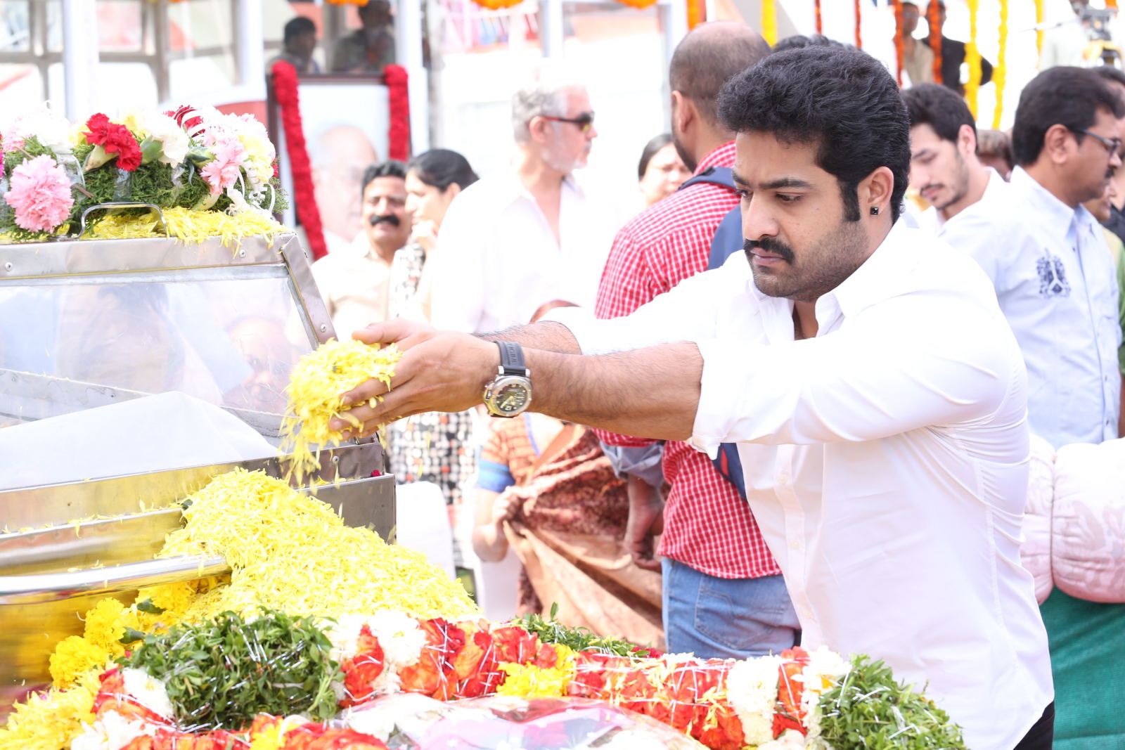 NTR Family visited ANR