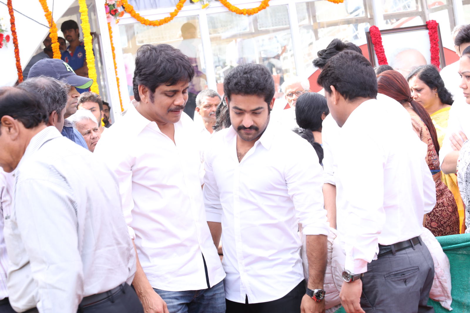 NTR Family visited ANR