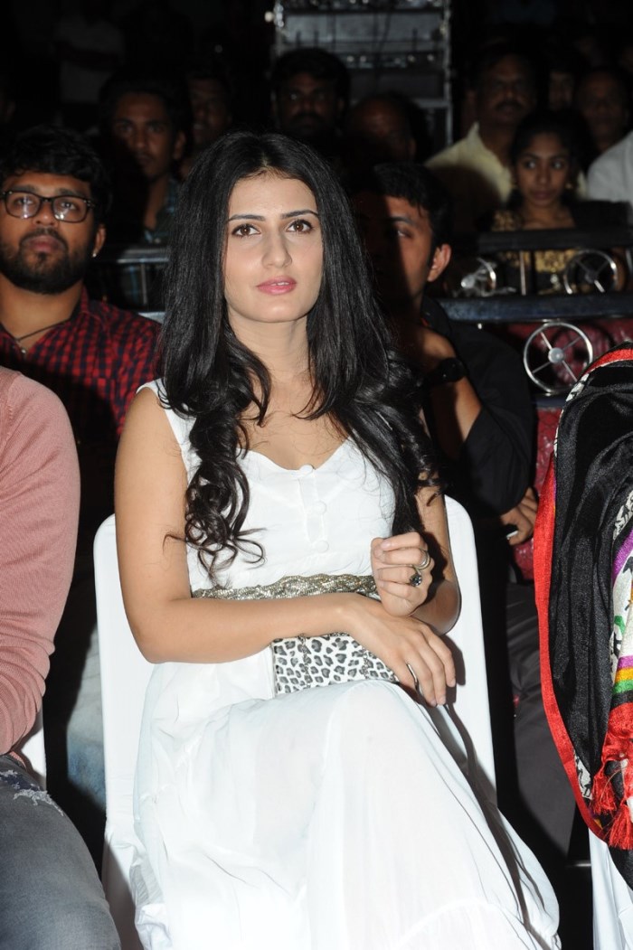 Nuvvu Nenu Okatavudaam Audio Launch Stills