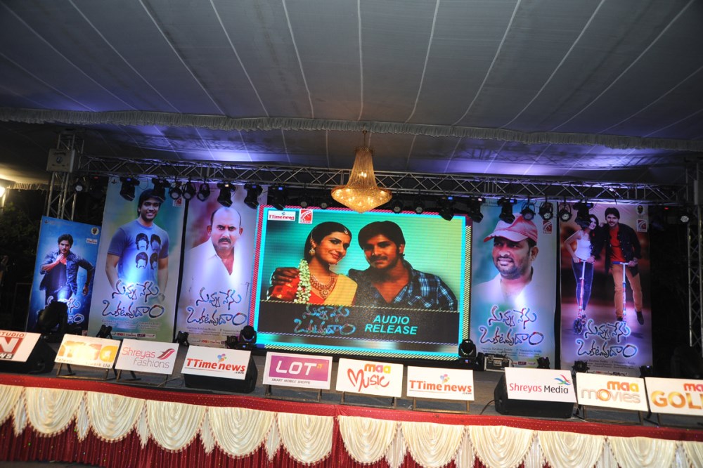Nuvvu Nenu Okatavudaam Audio Launch Stills