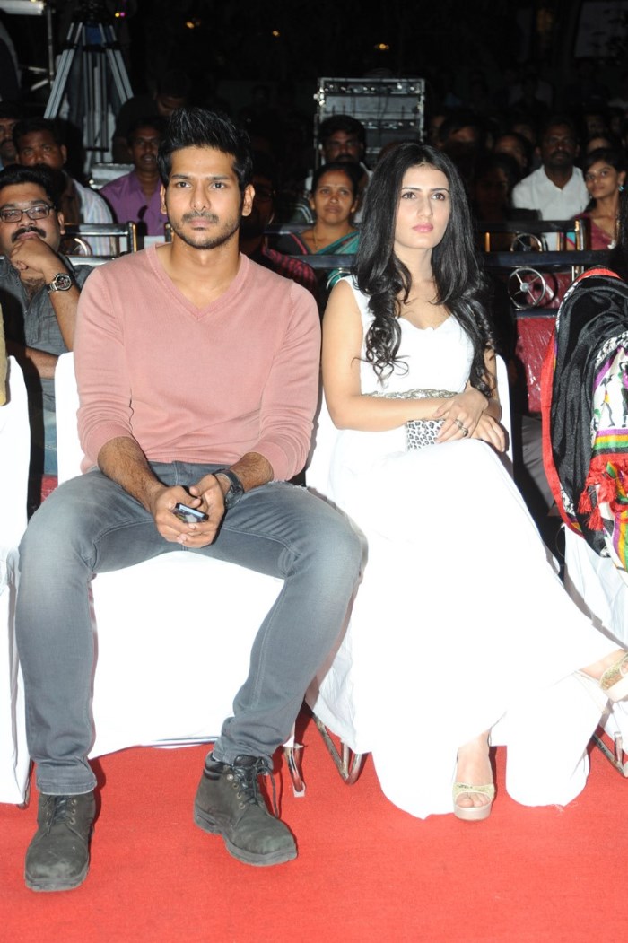 Nuvvu Nenu Okatavudaam Audio Launch Stills
