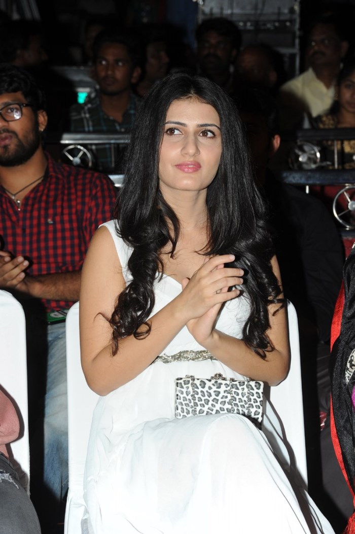 Nuvvu Nenu Okatavudaam Audio Launch Stills