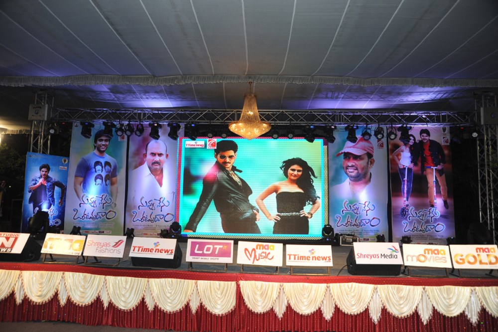 Nuvvu Nenu Okatavudaam Audio Launch Stills