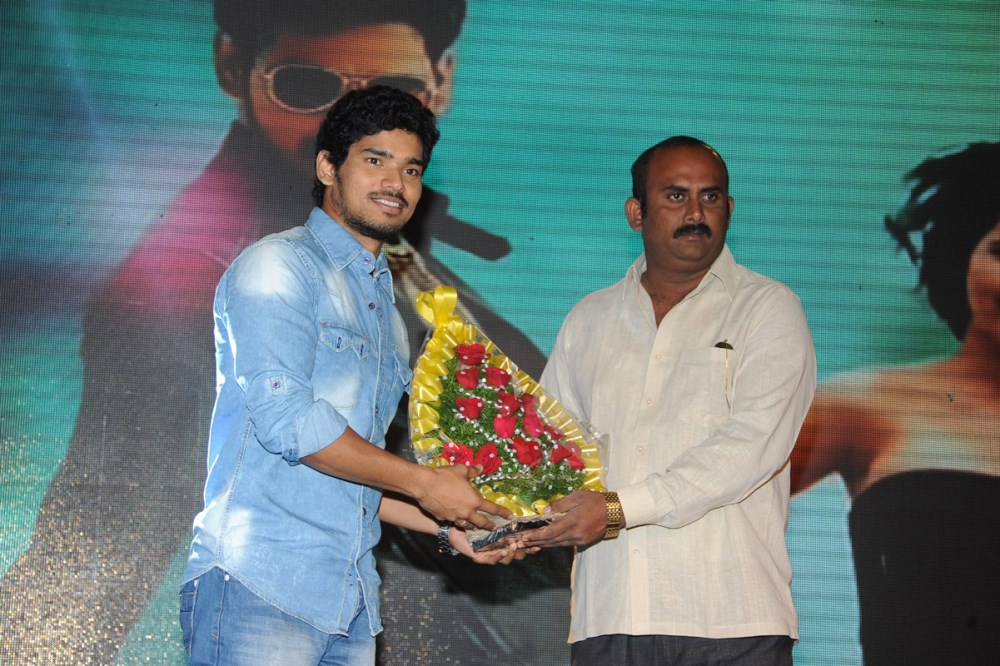 Nuvvu Nenu Okatavudaam Audio Launch Stills