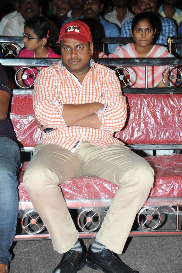 Nuvvu Nenu Okatavudaam Audio Launch Stills