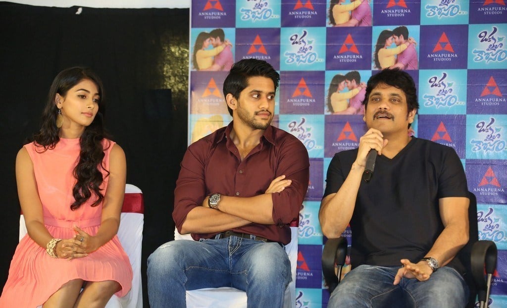 Oka Laila Kosam Movie Release Press Meet