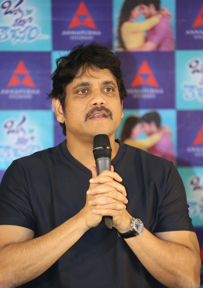 Oka Laila Kosam Movie Release Press Meet