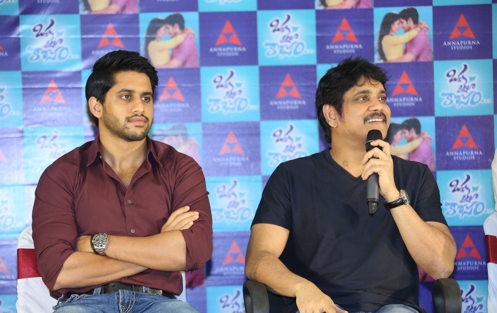 Oka Laila Kosam Movie Release Press Meet