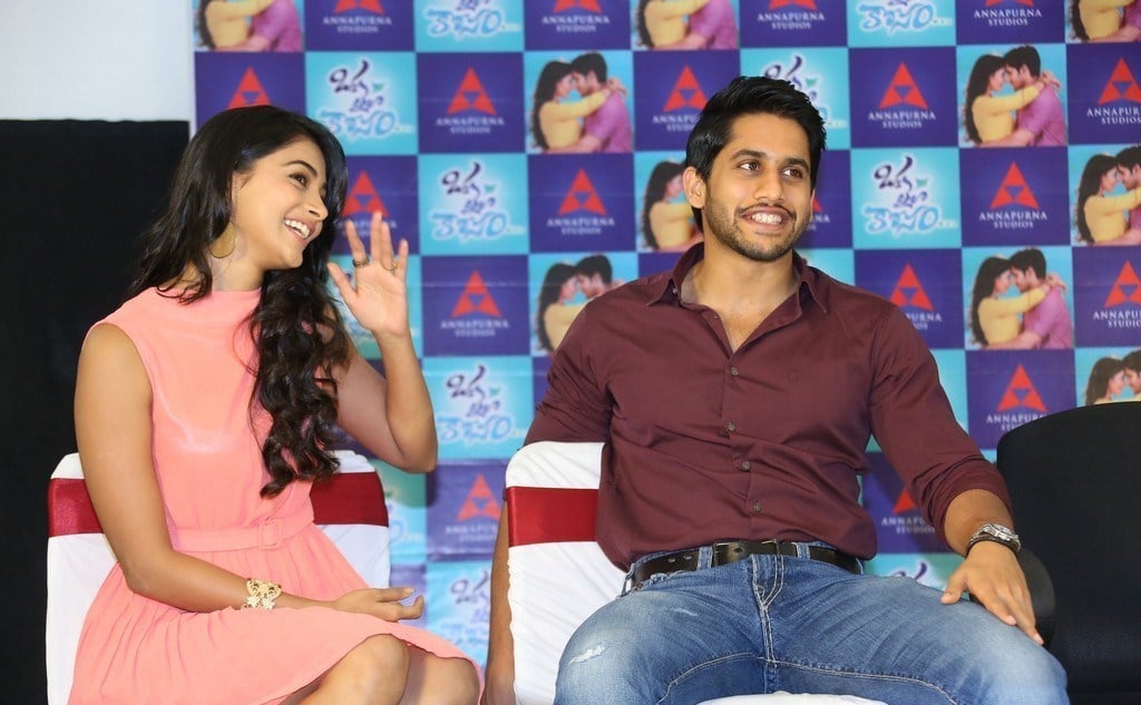 Oka Laila Kosam Movie Release Press Meet