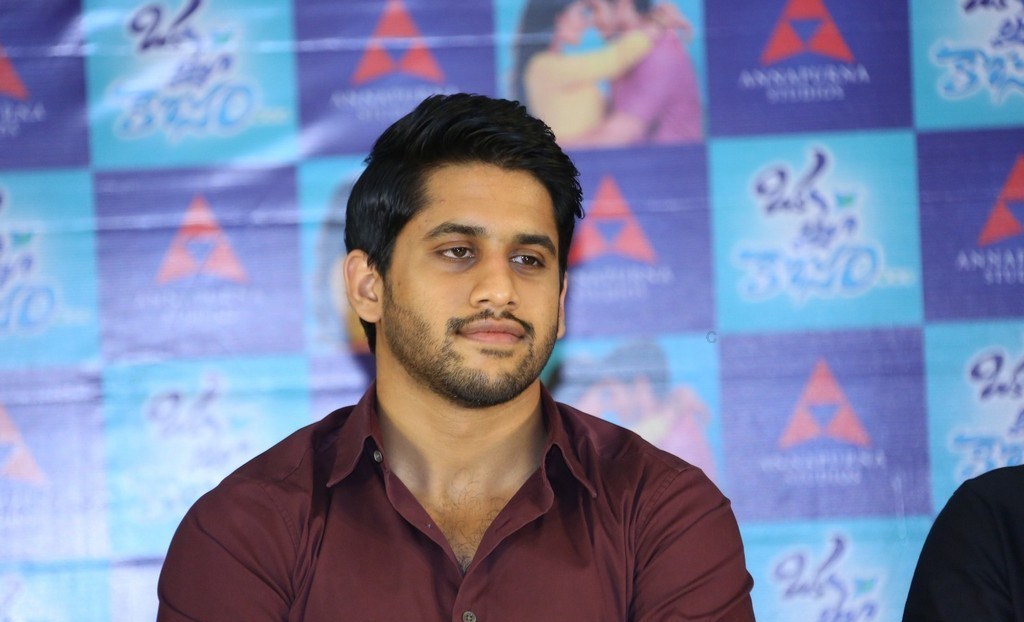 Oka Laila Kosam Movie Release Press Meet