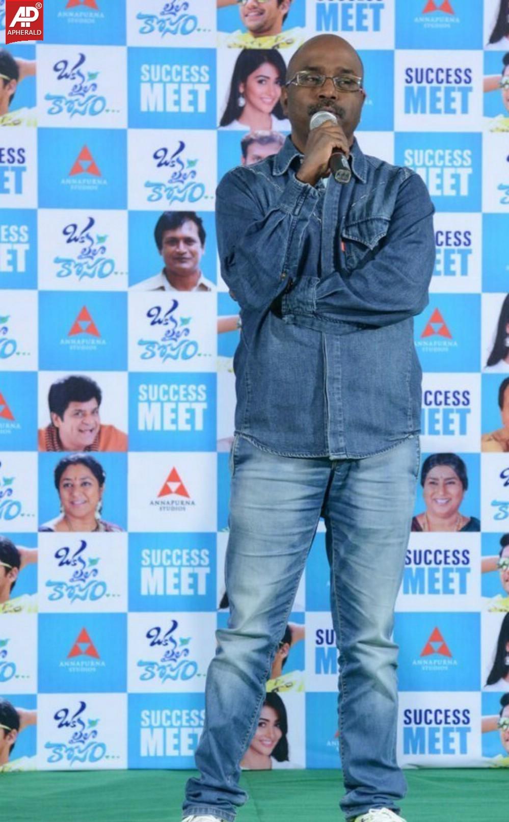 Oka Laila Kosam Success Meet