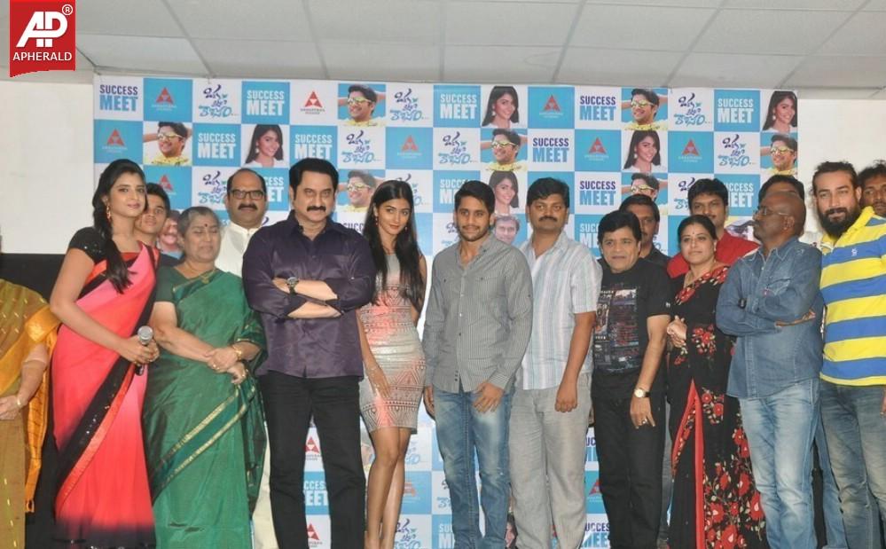 Oka Laila Kosam Success Meet