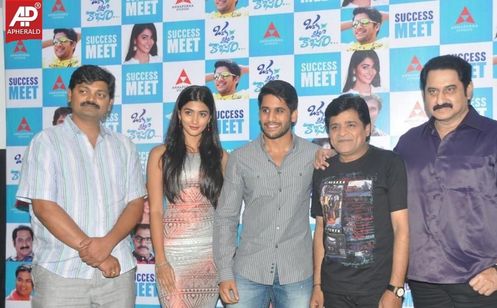 Oka Laila Kosam Success Meet