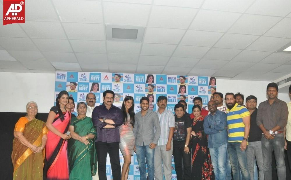 Oka Laila Kosam Success Meet