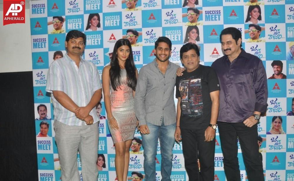 Oka Laila Kosam Success Meet