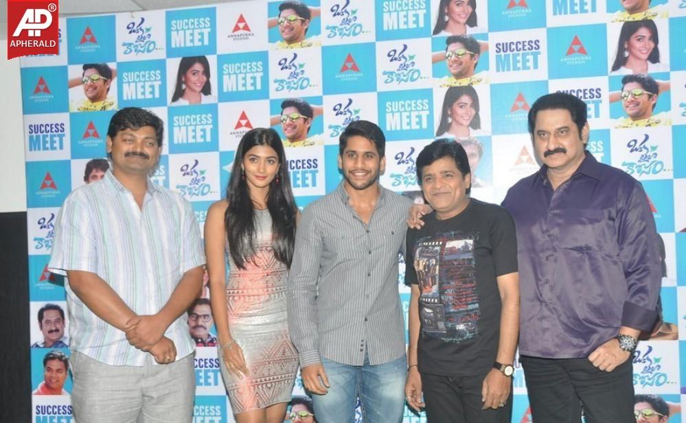 Oka Laila Kosam Success Meet