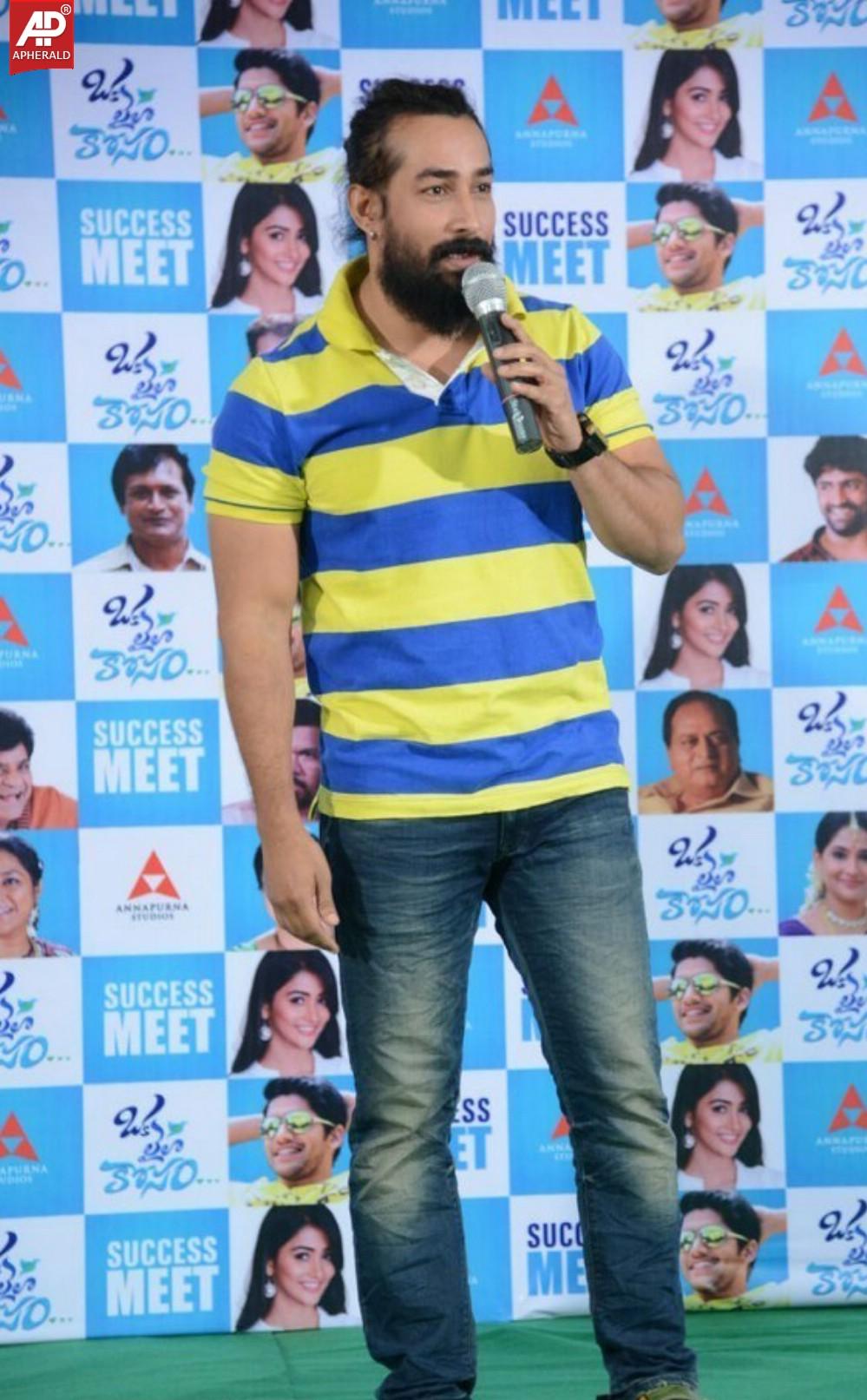 Oka Laila Kosam Success Meet