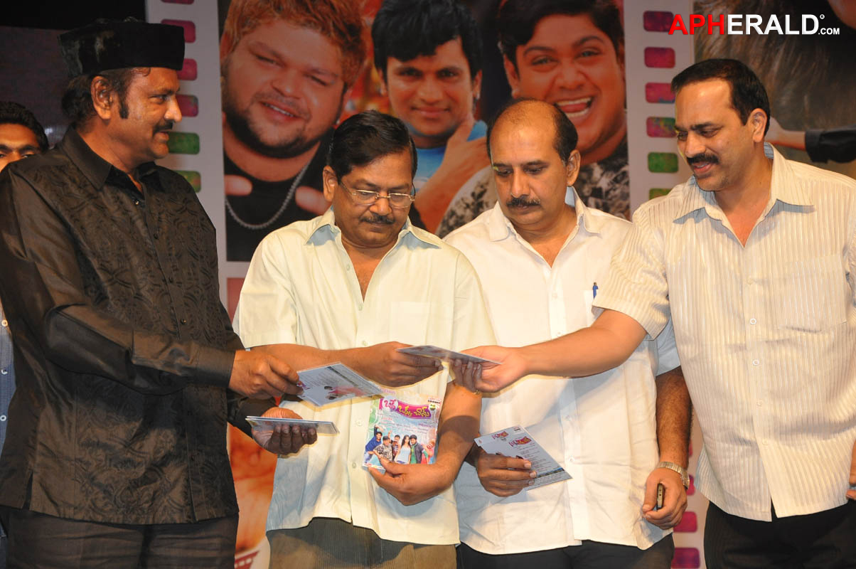 Oke Okka Chance Movie Audio Launch