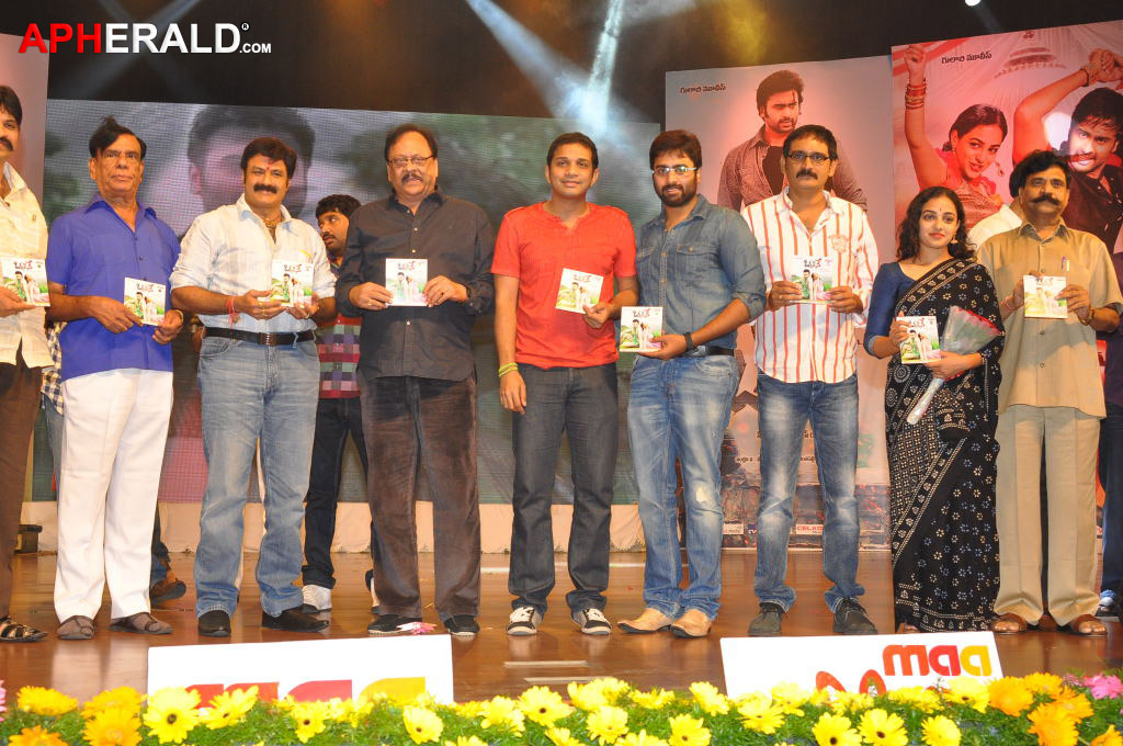 Okkadine Movie Audio Launch