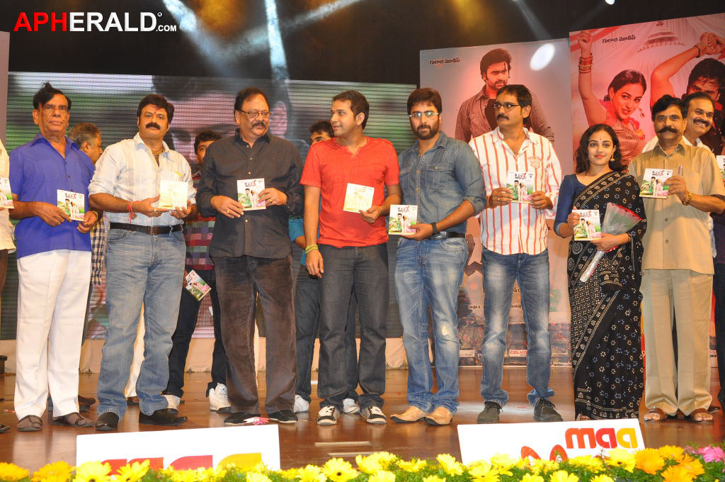 Okkadine Movie Audio Launch