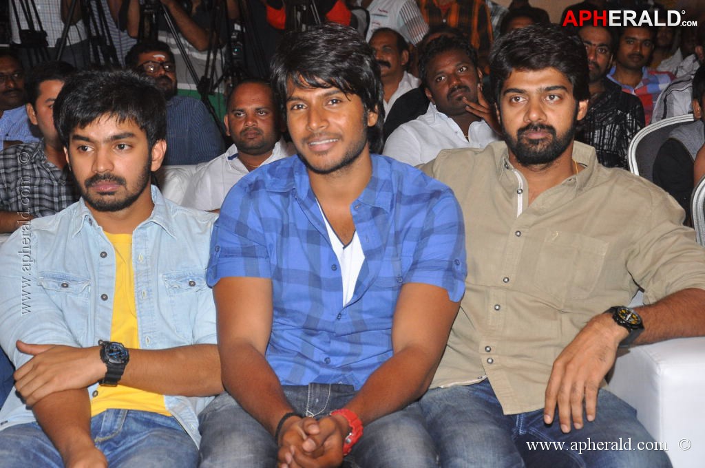 Palnadu Movie Audio Launch
