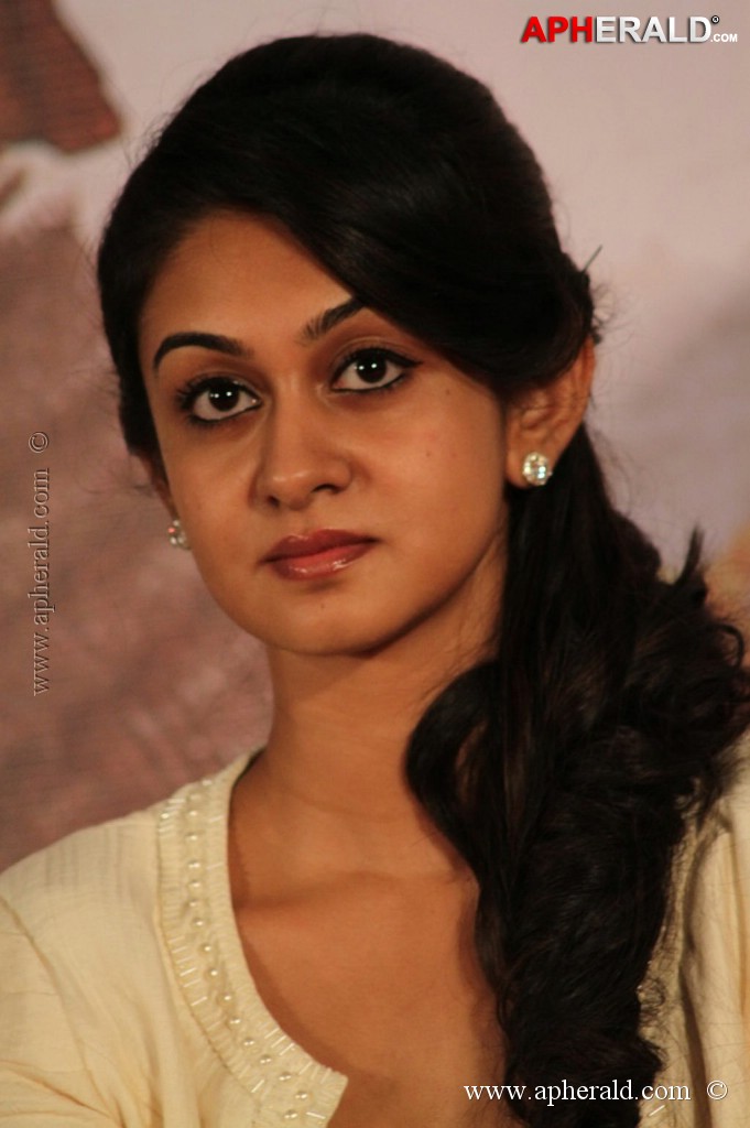 Pattathu Yaanai Movie Audio Launch