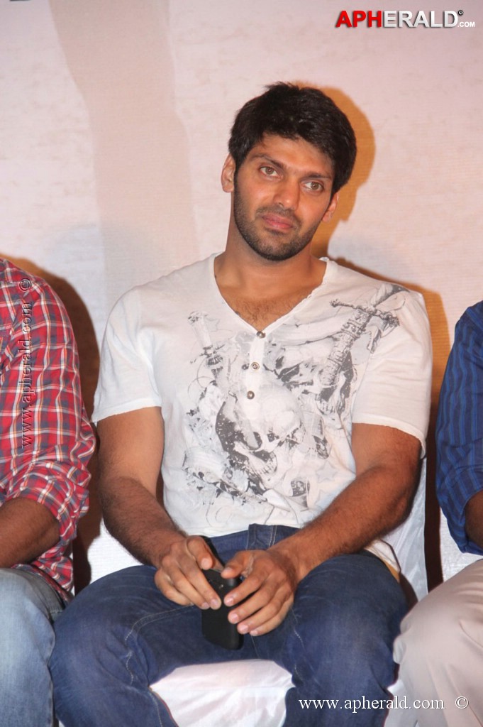 Pattathu Yaanai Movie Audio Launch