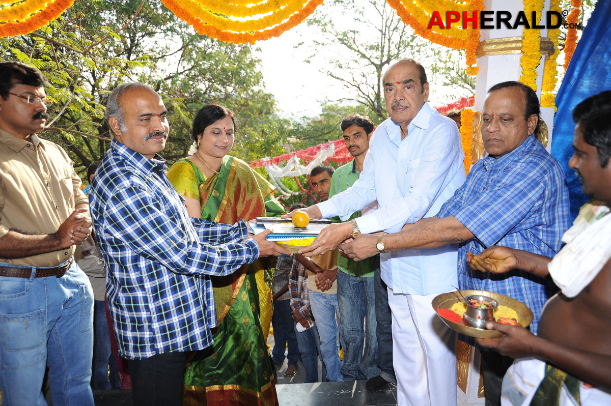 Pattudala New Movie Opening