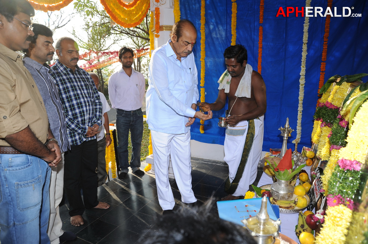 Pattudala New Movie Opening