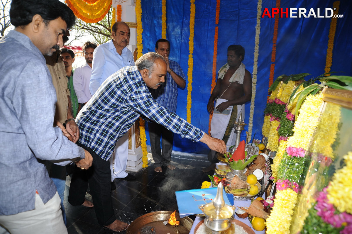 Pattudala New Movie Opening