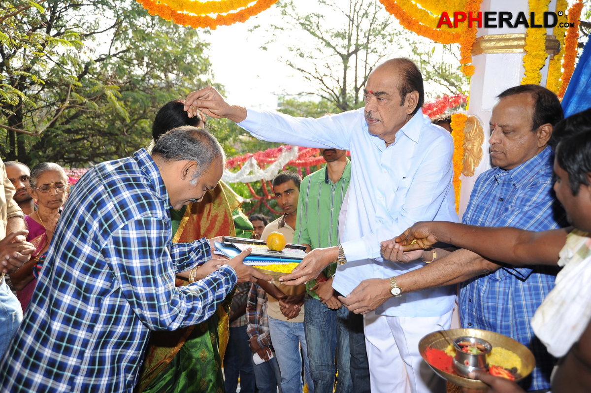 Pattudala New Movie Opening