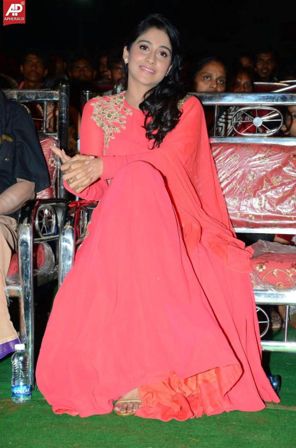 Pilla Nuvvu Leni Jeevitham Audio Sucess Meet