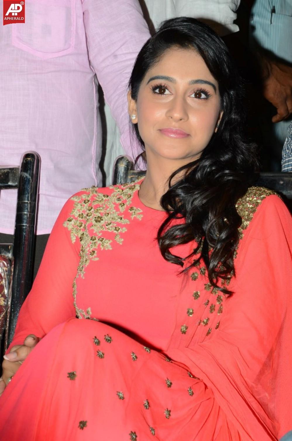 Pilla Nuvvu Leni Jeevitham Audio Sucess Meet