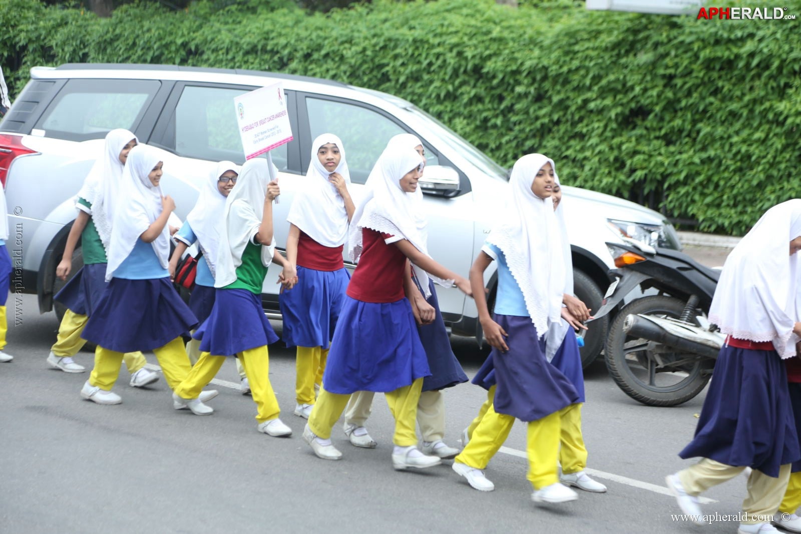 Pink Ribbon Walk Photos