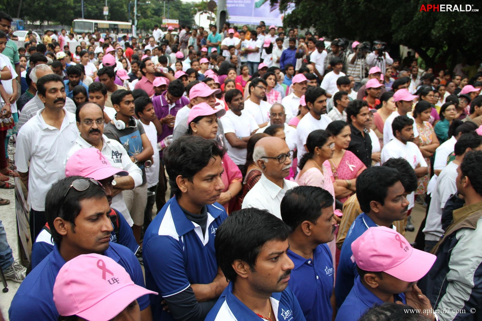 Pink Ribbon Walk Photos