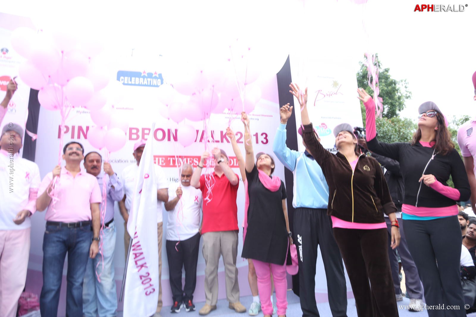 Pink Ribbon Walk Photos