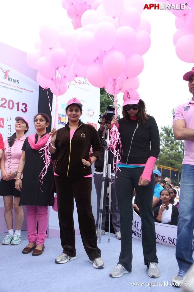 Pink Ribbon Walk Photos