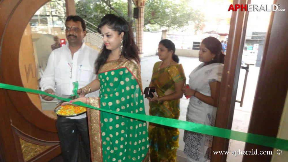 Pochampally Ikat Art Mela at Vizag