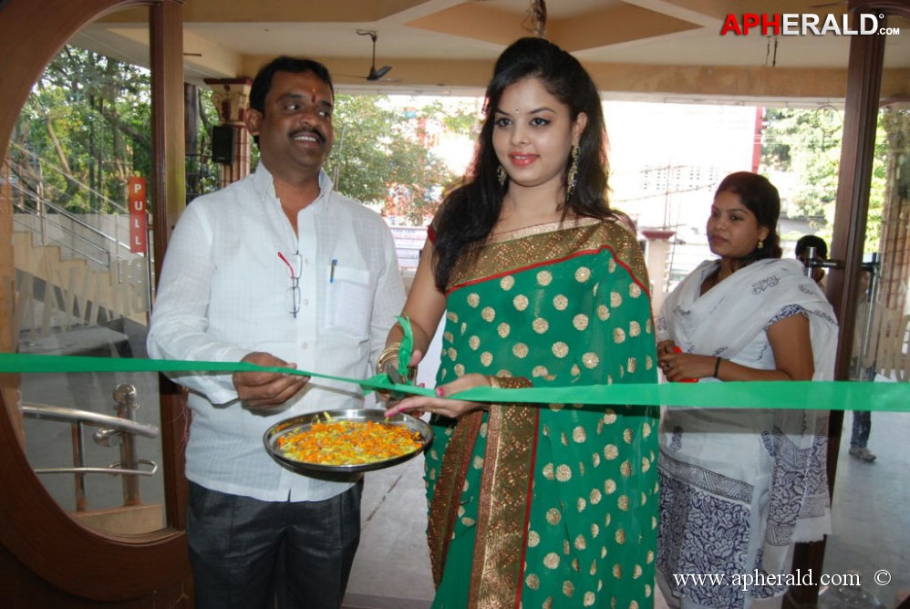 Pochampally Ikat Art Mela at Vizag