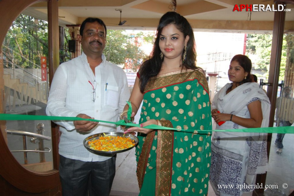 Pochampally Ikat Art Mela at Vizag