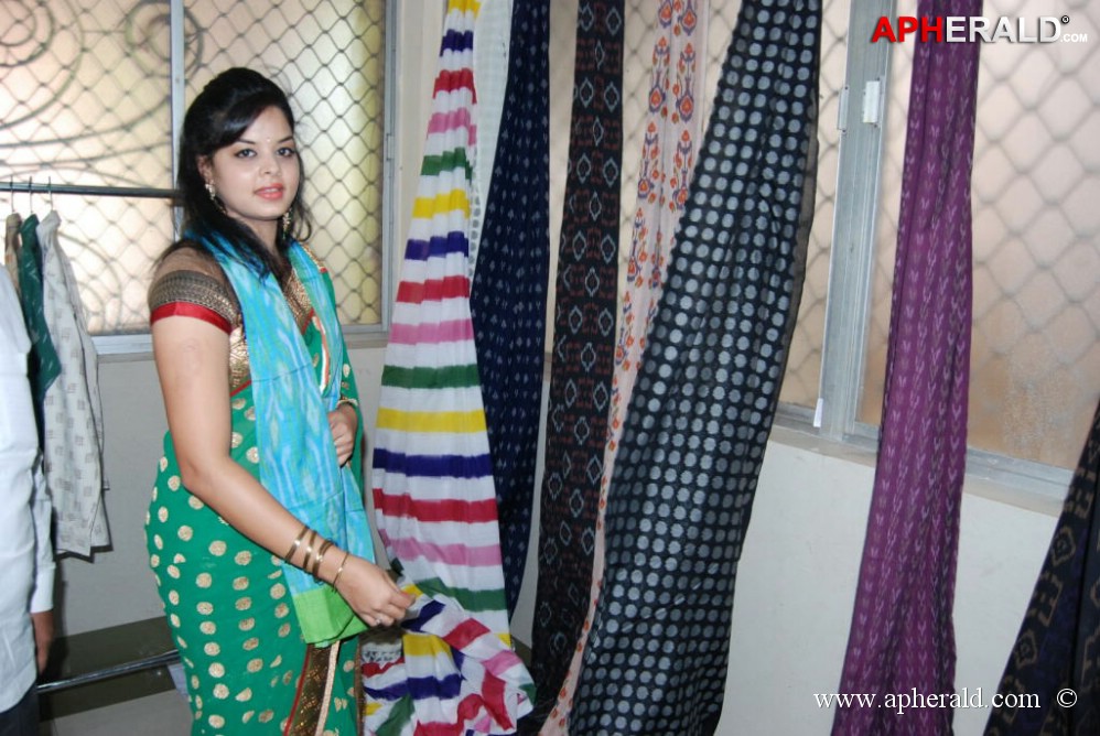 Pochampally Ikat Art Mela at Vizag