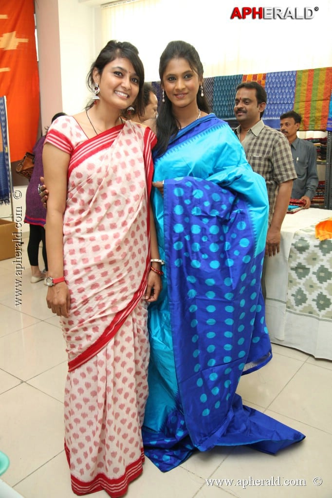 Pochampally IKAT art Mela Event