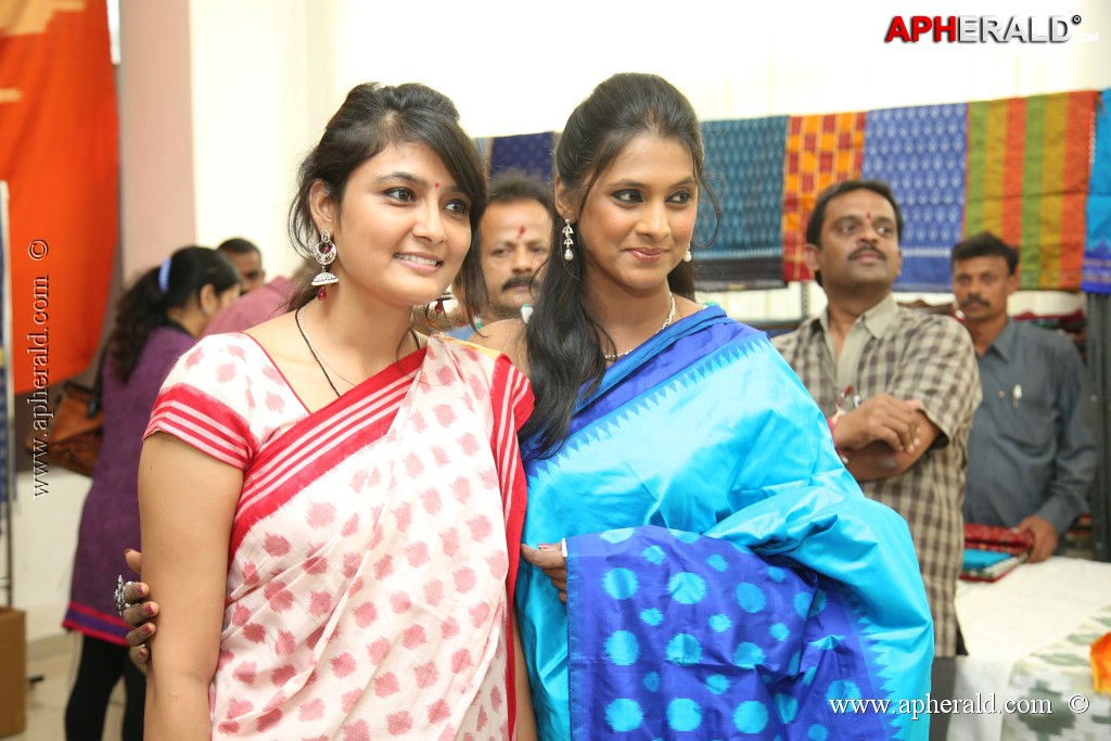 Pochampally IKAT art Mela Event