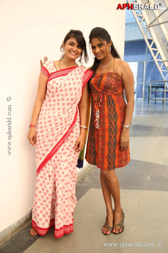 Pochampally IKAT art Mela Event