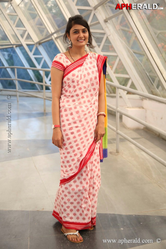 Pochampally IKAT art Mela Event