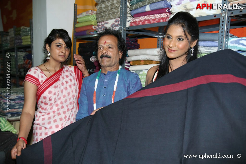 Pochampally IKAT art Mela Event
