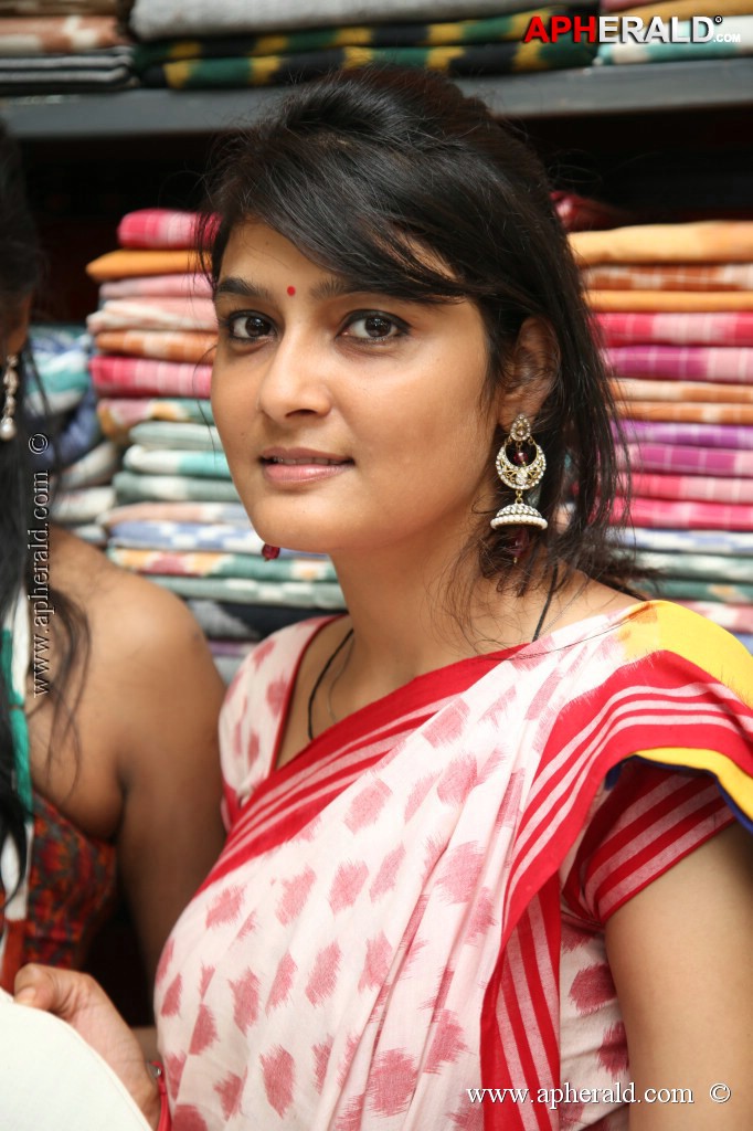 Pochampally IKAT art Mela Event